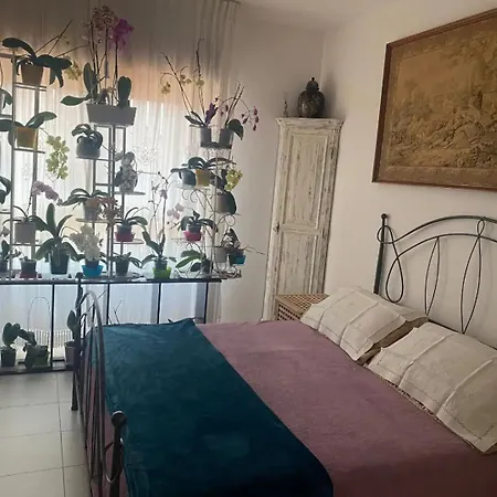 La Casa Di Lu Pisa